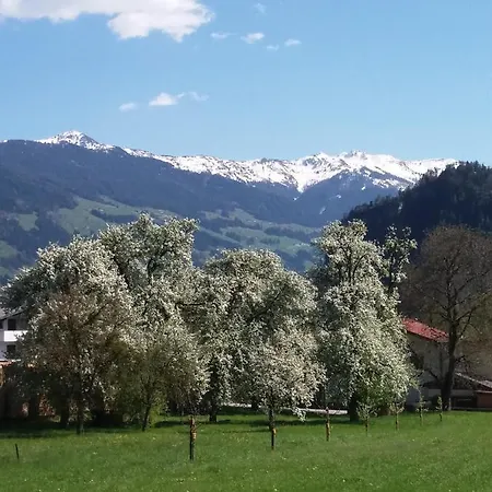 Wiesingerhof * Wiesing