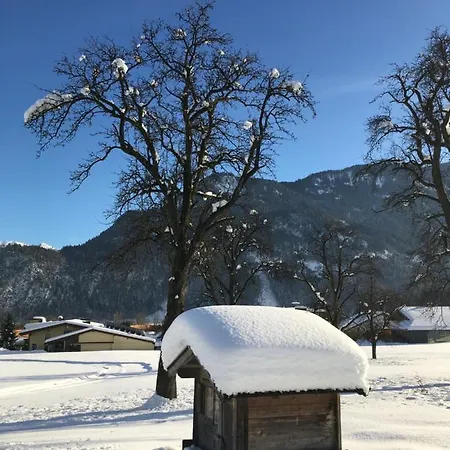 Wiesingerhof